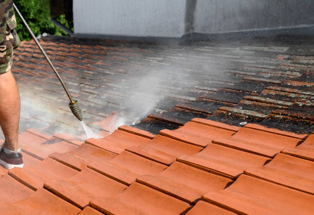 Deck Cleaning Services in New Vienna, OH