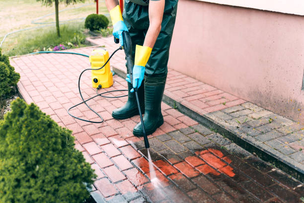 Best Pressure Washing Siding  in New Vienna, OH